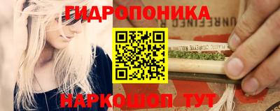 мяу мяу мука Беслан