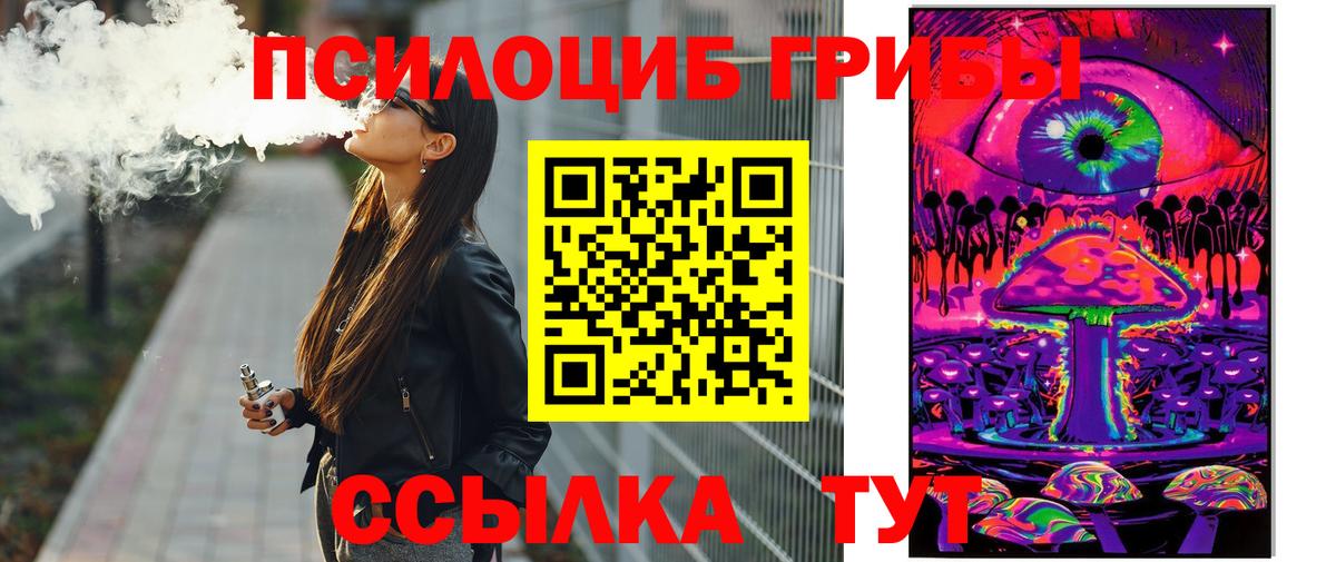 Ачхой-Мартан  Псилоцибиновые грибы MAGIC MUSHROOMS  Вход с VPN 