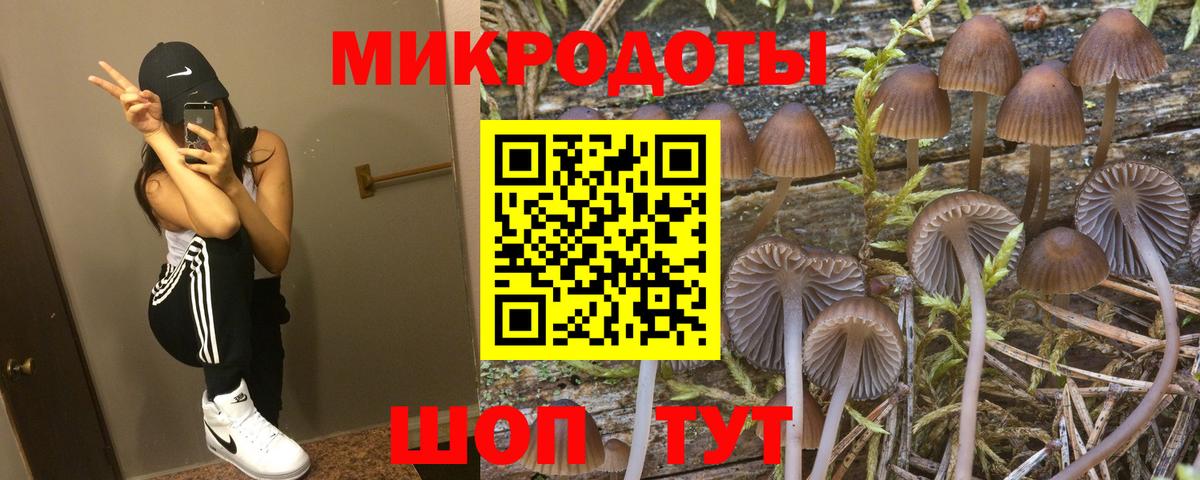 Псилоцибиновые грибы Psilocybine cubensis Ачхой-Мартан