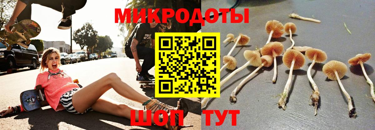 Лсд 25 Ачхой-Мартан
